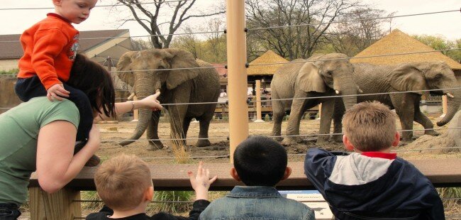 Home of the Cleveland Metroparks Zoo